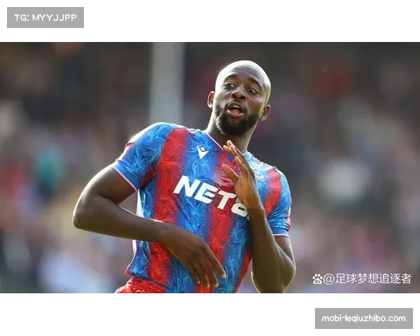 水晶宫伤情大幅缓解 仅马特塔一名主力确定缺阵